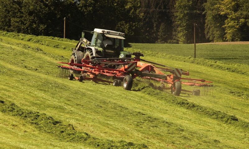 WIFO-Studie: Die österreichische Landwirtschaft abseits pastoraler Romantik
