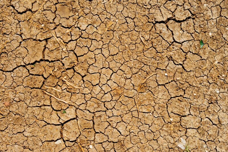 Ecological Economics Matters