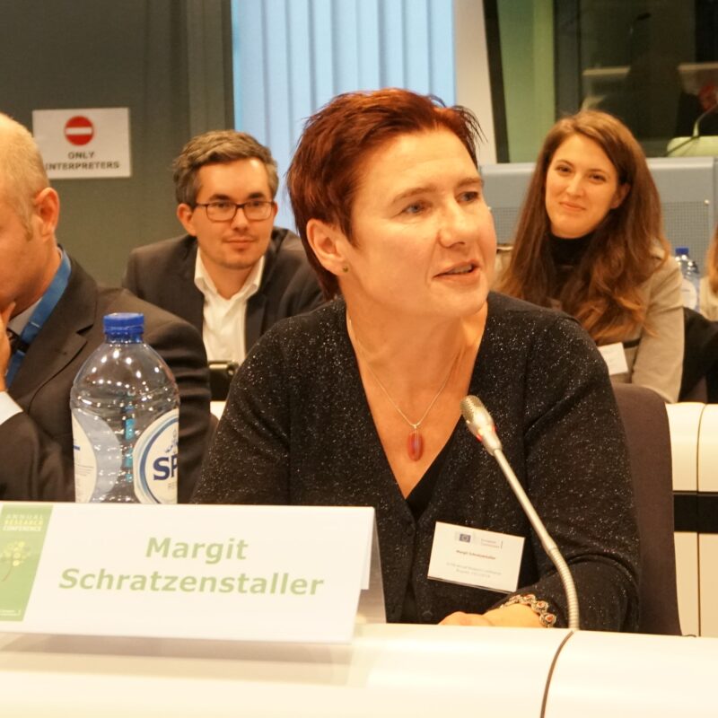 European Challenges in the New Decade
