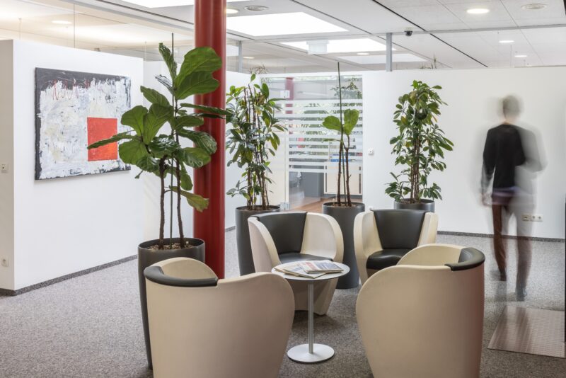 WIFO is looking for an Economist (m/f/d, 100%)