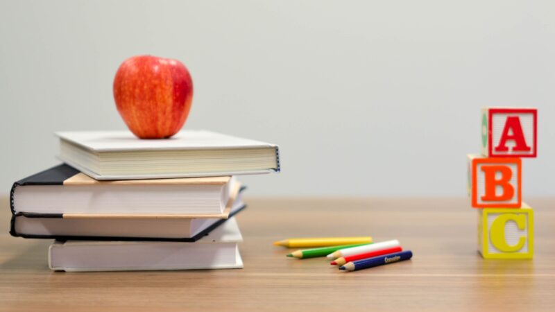 Education and Health to Combat the Labour Shortage of the Future