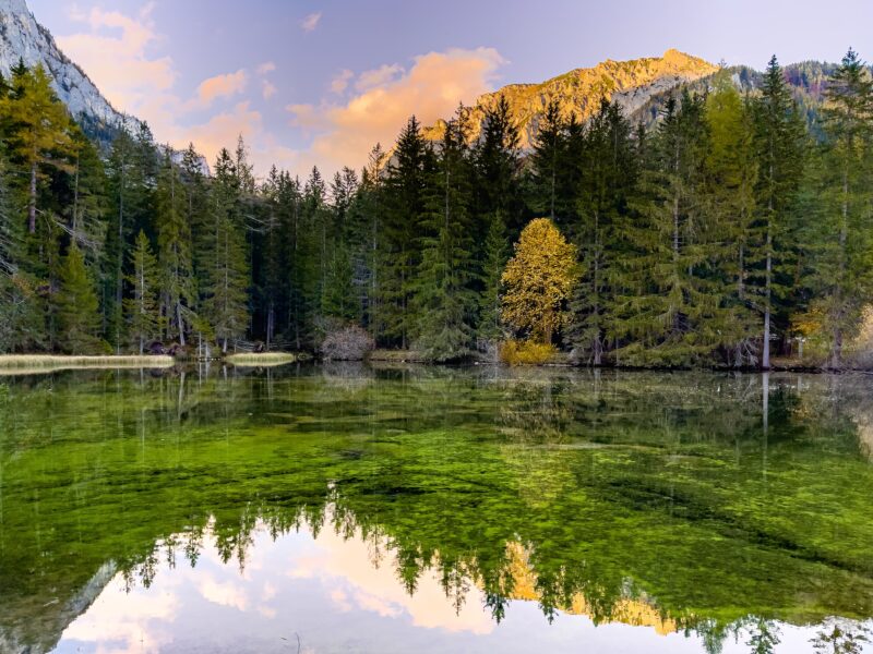 Steady Recovery in Austrian Tourism since the Beginning of the Year