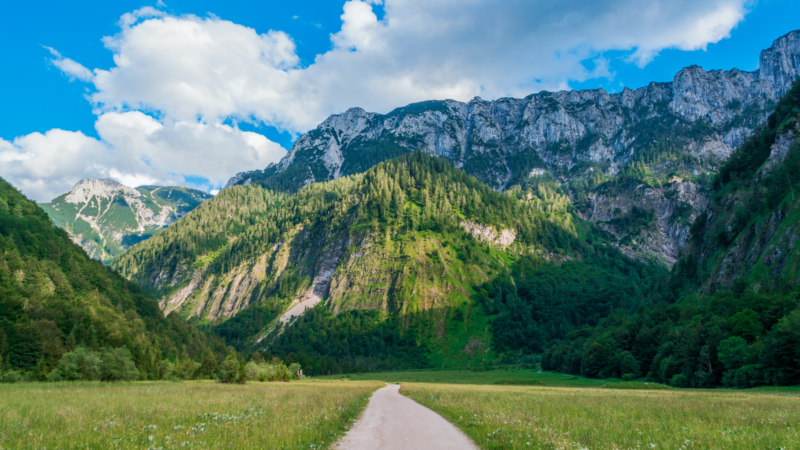 Tourismusnachfrage in der ersten Sommerhälfte 2022 beinahe auf Vorkrisenniveau