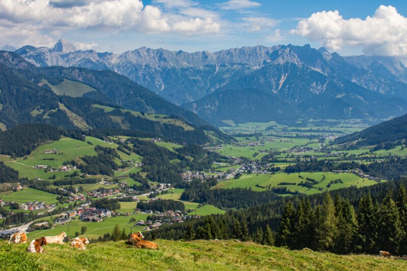 Hochkonjunktur in den Bundesländern bremst sich ein