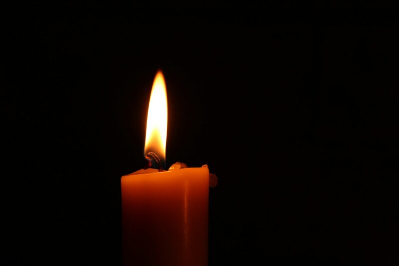 WIFO Mourns the Loss of Honorary Member Erich W. Streissler