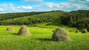 From Polluting to Green Jobs: A Seamless Transition in the U.S.?